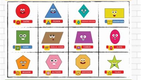 Bebek ve İçgüdüsel Matematik: Sayıları, Şekilleri ve Renkleri Öğrenme