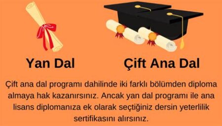 Üniversite Eğitimi: Çift Ana Dal ve Yan Dal Seçenekleri